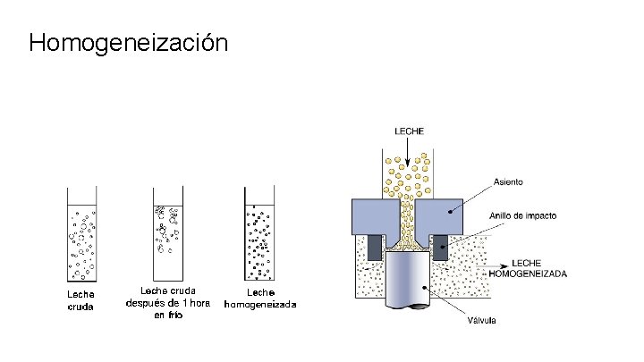 Homogeneización 