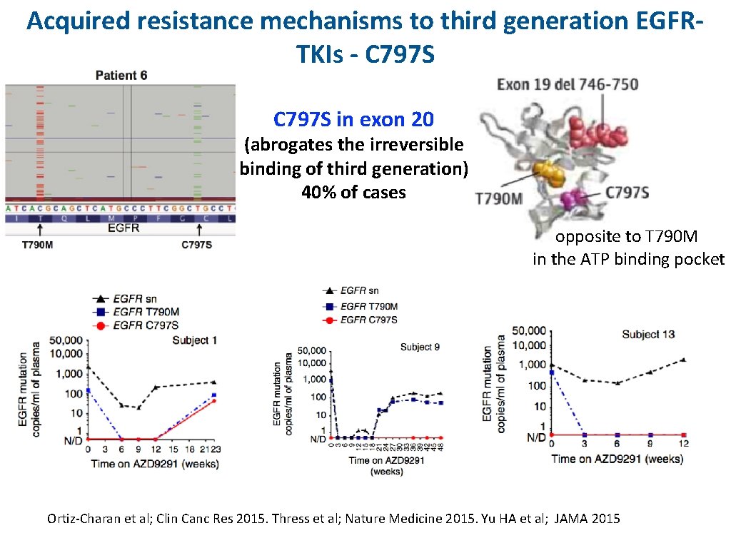 Acquired resistance mechanisms to third generation EGFRTKIs - C 797 S in exon 20