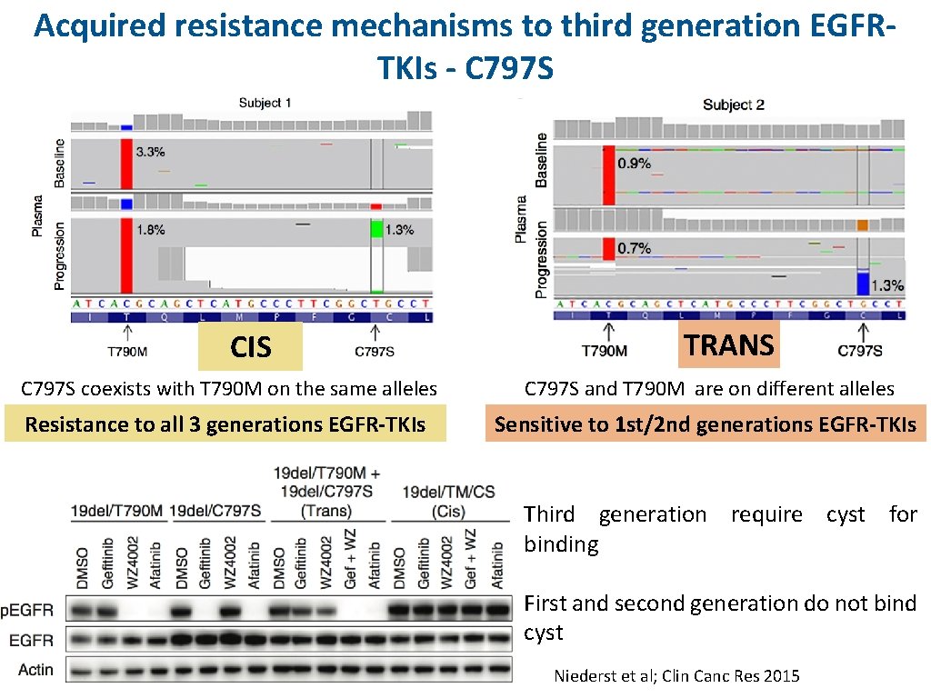 Acquired resistance mechanisms to third generation EGFRTKIs - C 797 S CIS TRANS C