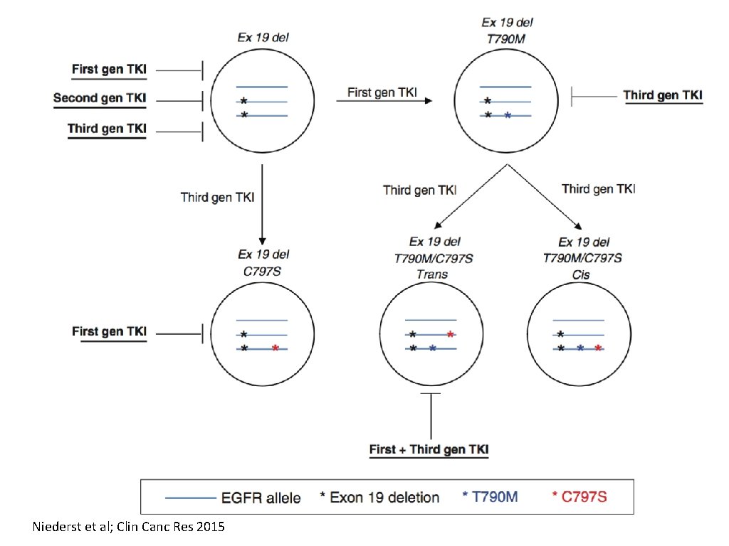 Niederst et al; Clin Canc Res 2015 