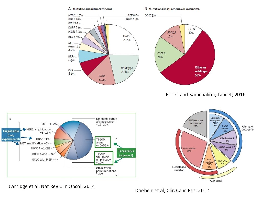 Rosell and Karachaliou; Lancet; 2016 Camidge et al; Nat Rev Clin Oncol; 2014 Doebele