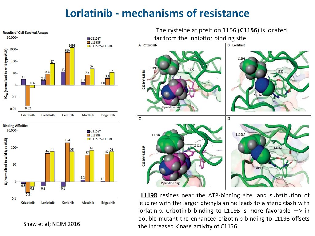 Lorlatinib - mechanisms of resistance The cysteine at position 1156 (C 1156) is located