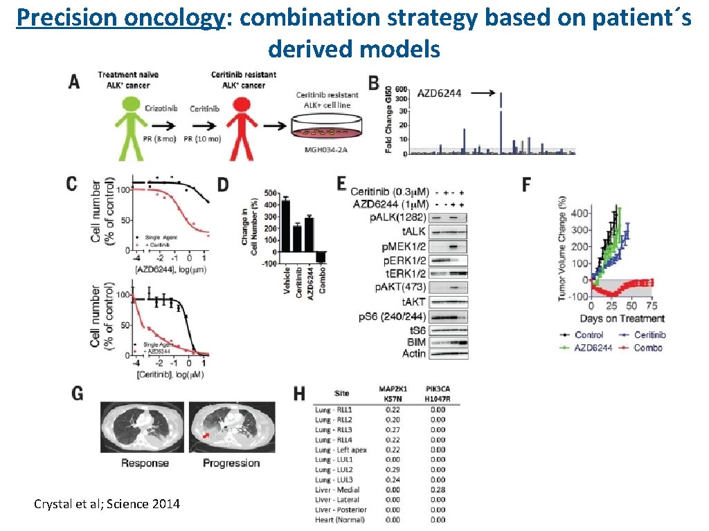 Precision oncology: combination strategy based on patient´s derived models Crystal et al; Science 2014