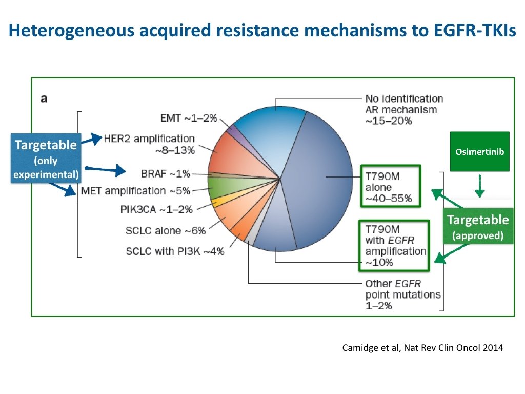 Heterogeneous acquired resistance mechanisms to EGFR-TKIs Camidge et al, Nat Rev Clin Oncol 2014
