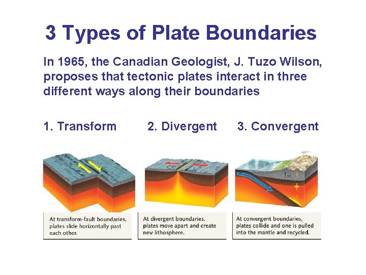 3 Types of Plate Boundaries In 1965, the Canadian Geologist, J. Tuzo Wilson, proposes