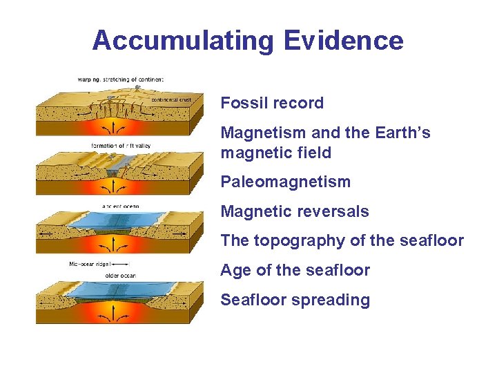Accumulating Evidence Fossil record Magnetism and the Earth’s magnetic field Paleomagnetism Magnetic reversals The