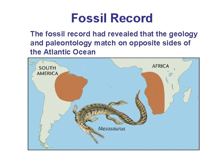 Fossil Record The fossil record had revealed that the geology and paleontology match on