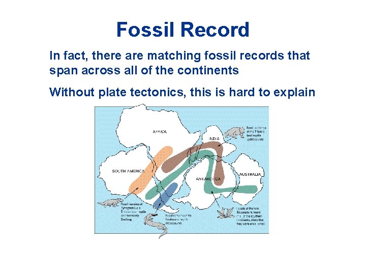 Fossil Record In fact, there are matching fossil records that span across all of