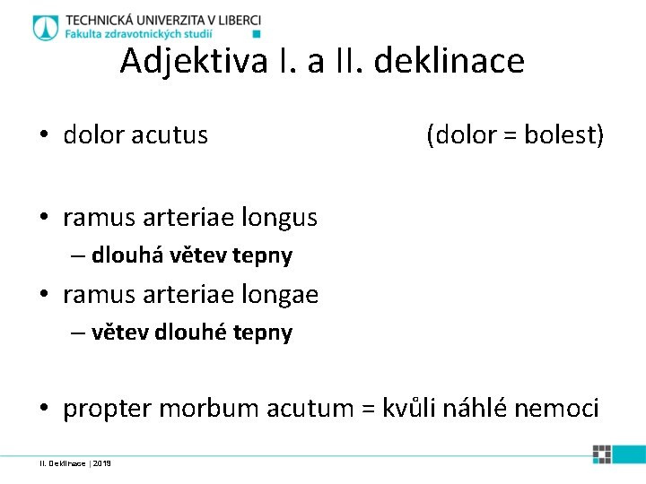 Adjektiva I. a II. deklinace • dolor acutus (dolor = bolest) • ramus arteriae