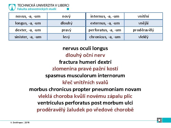 novus, -a, -um nový internus, -a, -um vnitřní longus, -a, -um dlouhý externus, -a,