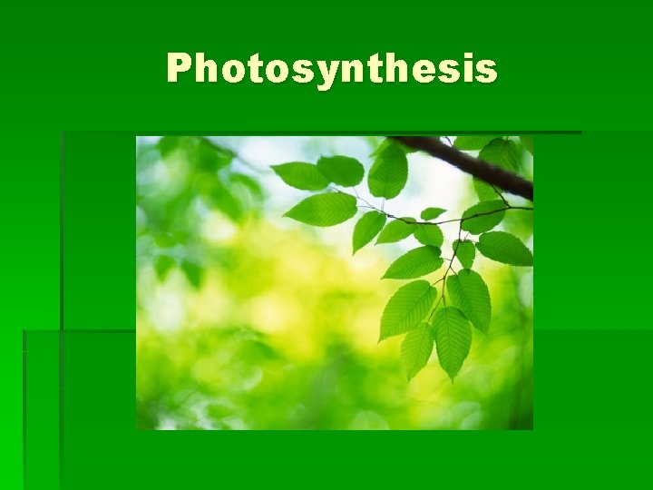Photosynthesis 