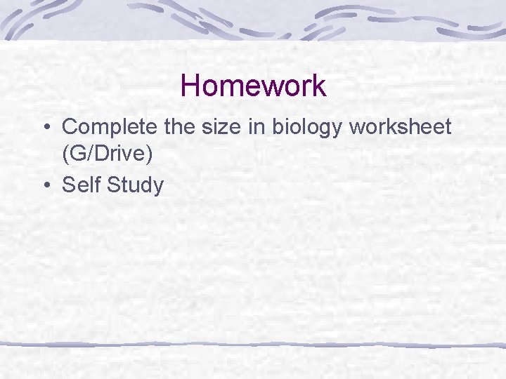 Homework • Complete the size in biology worksheet (G/Drive) • Self Study 