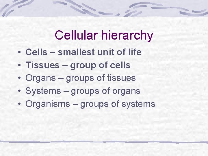 Cellular hierarchy • • • Cells – smallest unit of life Tissues – group