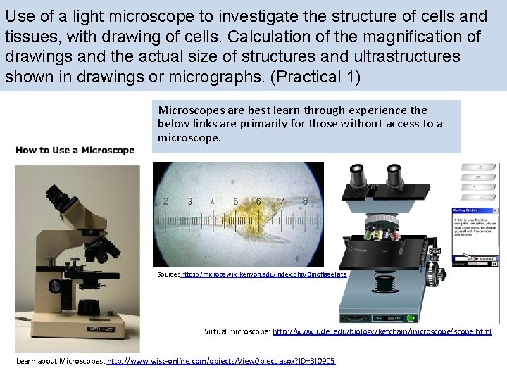 Use of a light microscope to investigate the structure of cells and tissues, with