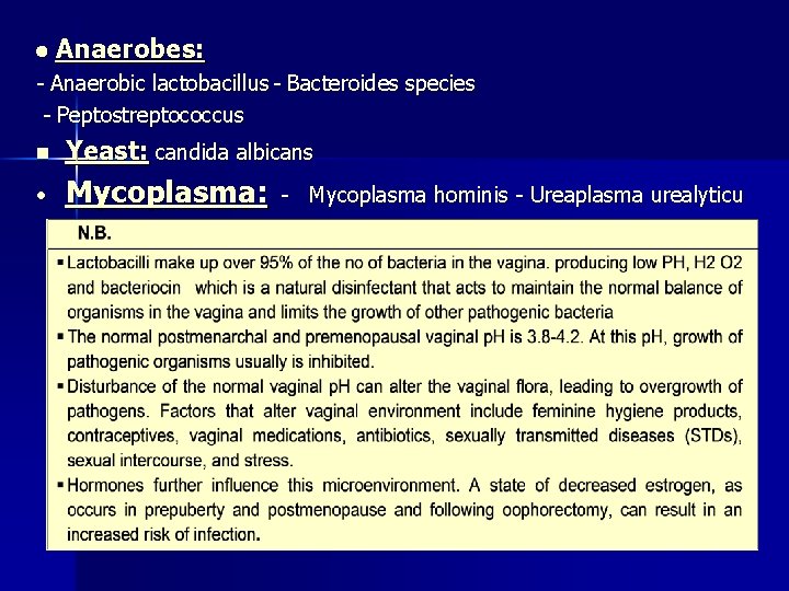  Anaerobes: - Anaerobic lactobacillus - Bacteroides species - Peptostreptococcus n Yeast: candida albicans