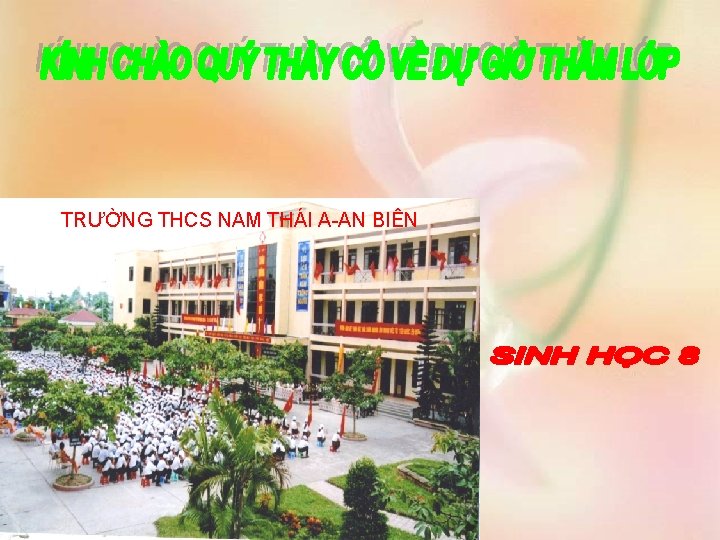 TRƯỜNG THCS NAM THÁI A-AN BIÊN 