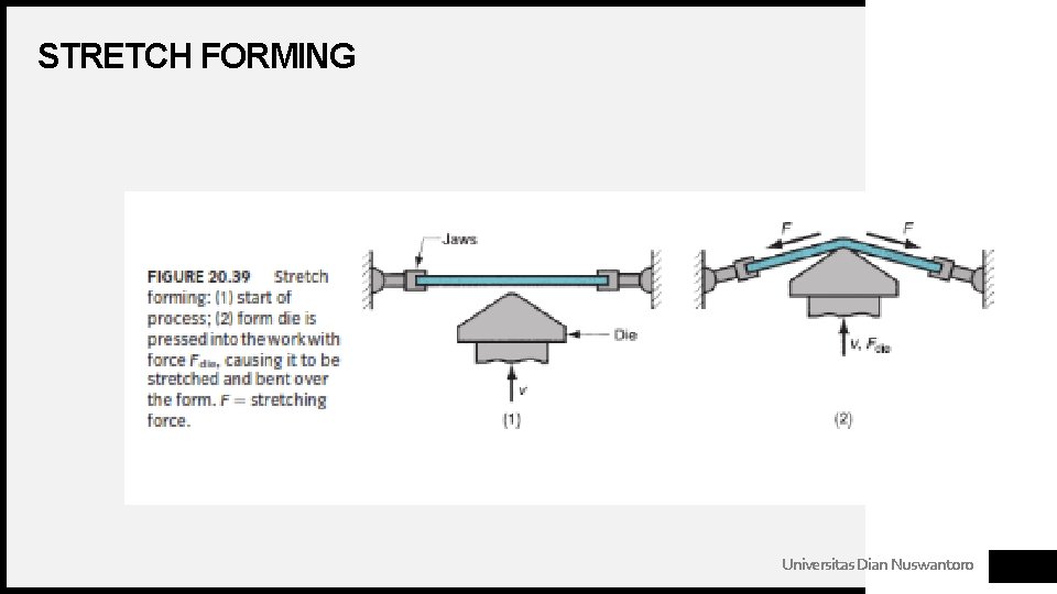 STRETCH FORMING Universitas Dian Nuswantoro 