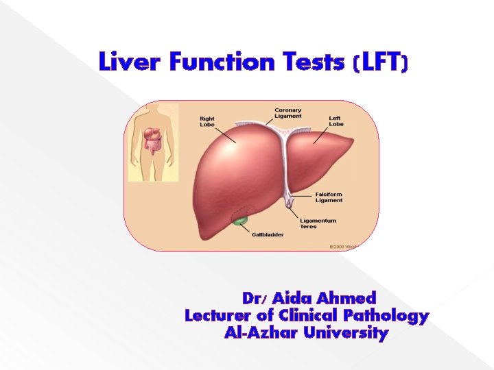 Liver Function Tests (LFT) Dr/ Aida Ahmed Lecturer of Clinical Pathology Al-Azhar University 