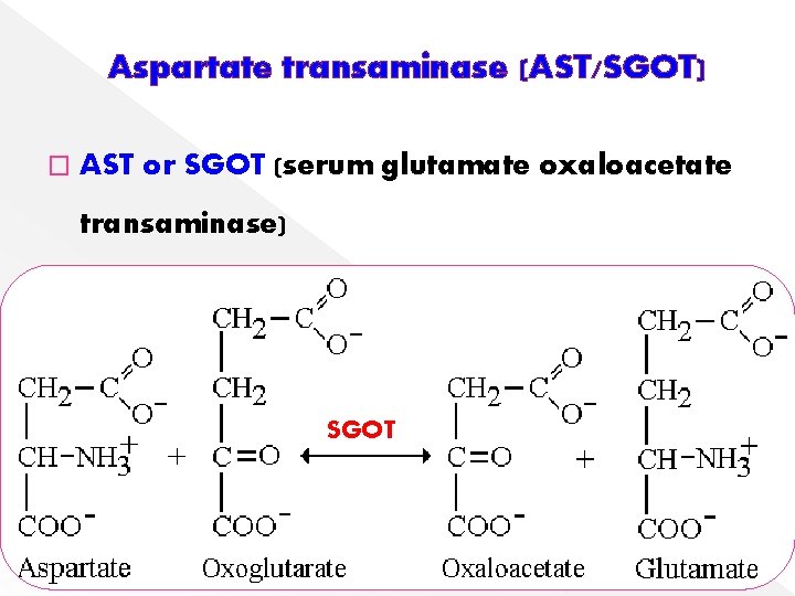 Aspartate transaminase (AST/SGOT) � AST or SGOT (serum glutamate oxaloacetate transaminase) SGOT 