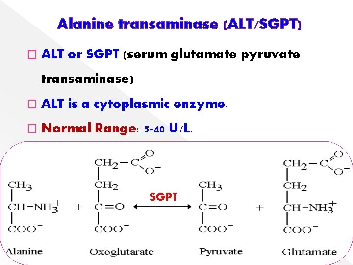 Alanine transaminase (ALT/SGPT) � ALT or SGPT (serum glutamate pyruvate transaminase) � ALT is