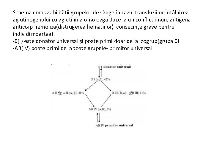 Schema compatibilității grupelor de sânge în cazul transfuziilor. Întâlnirea aglutinogenului cu aglutinina omoloagă duce
