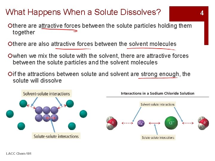 What Happens When a Solute Dissolves? ¡there attractive forces between the solute particles holding