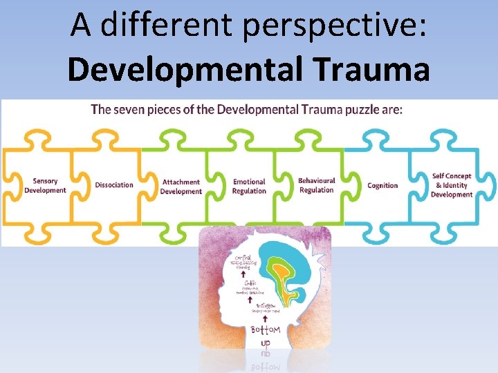 A different perspective: Developmental Trauma 