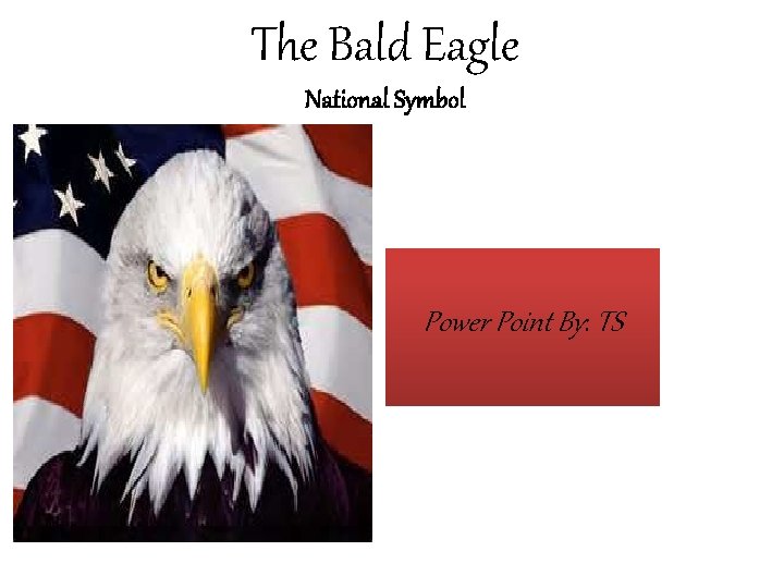 The Bald Eagle National Symbol Power Point By: TS 