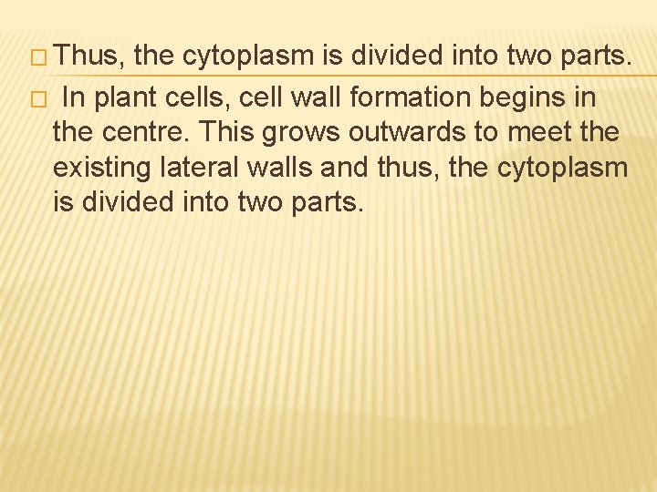 � Thus, the cytoplasm is divided into two parts. � In plant cells, cell