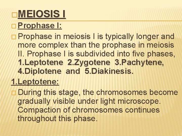 �MEIOSIS � Prophase I I: � Prophase in meiosis I is typically longer and