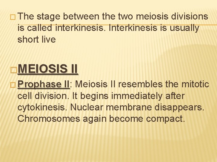 � The stage between the two meiosis divisions is called interkinesis. Interkinesis is usually