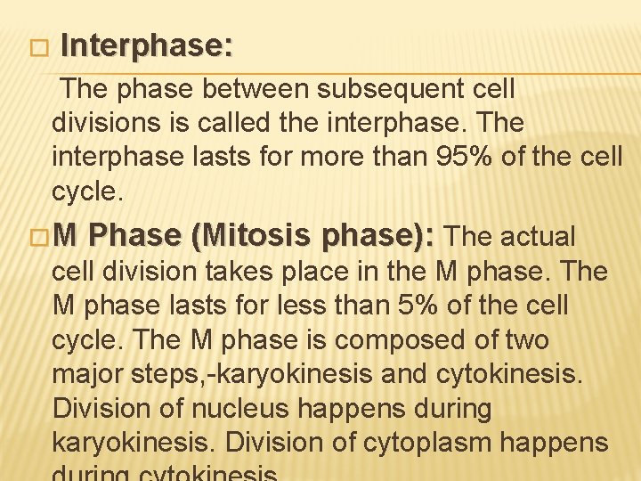 � Interphase: The phase between subsequent cell divisions is called the interphase. The interphase