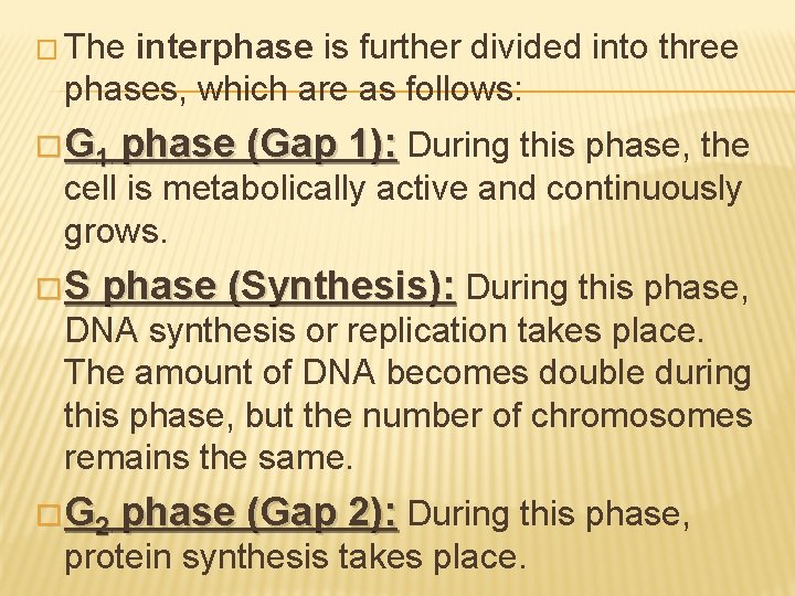 � The interphase is further divided into three phases, which are as follows: �