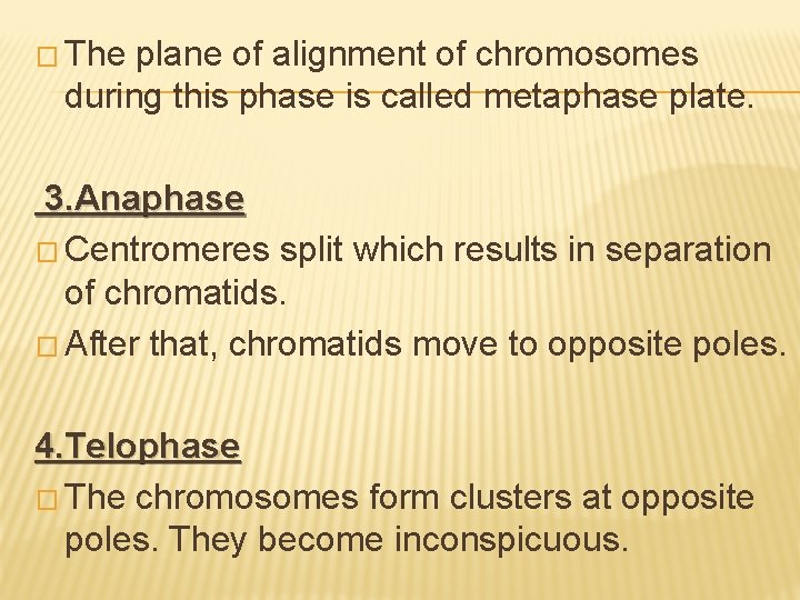 � The plane of alignment of chromosomes during this phase is called metaphase plate.