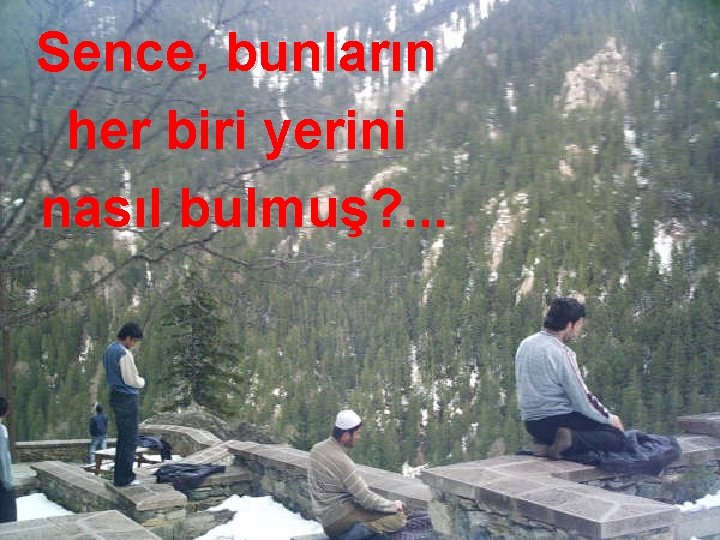 Sence, bunların her biri yerini nasıl bulmuş? . . . 