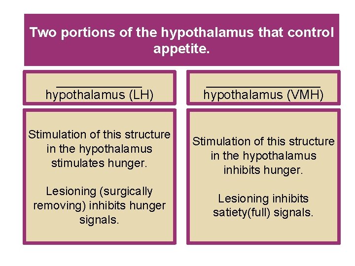 Two portions of the hypothalamus that control appetite. ______ hypothalamus (LH) Stimulation of this