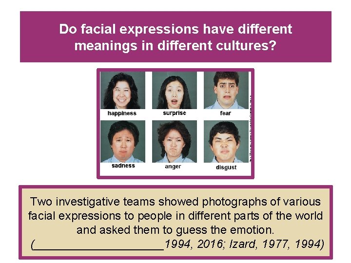 Do facial expressions have different meanings in different cultures? Two investigative teams showed photographs