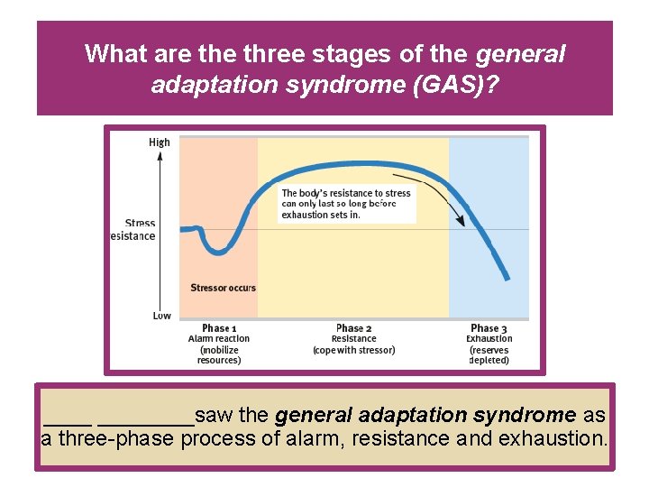 What are three stages of the general adaptation syndrome (GAS)? ________saw the general adaptation