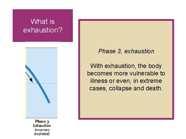 What is exhaustion? Phase 3, exhaustion With exhaustion, the body becomes more vulnerable to