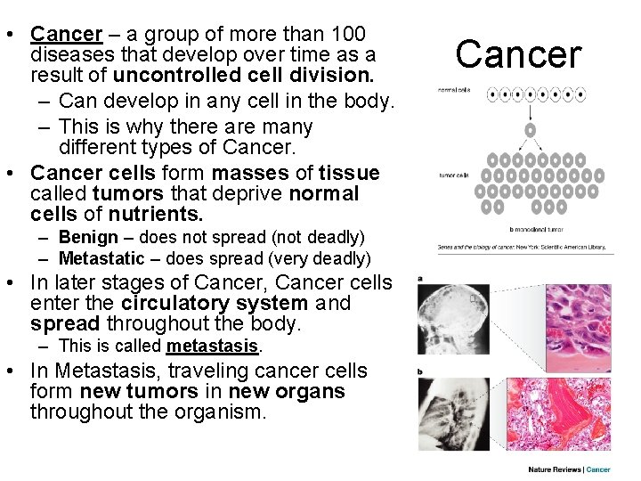  • Cancer – a group of more than 100 diseases that develop over