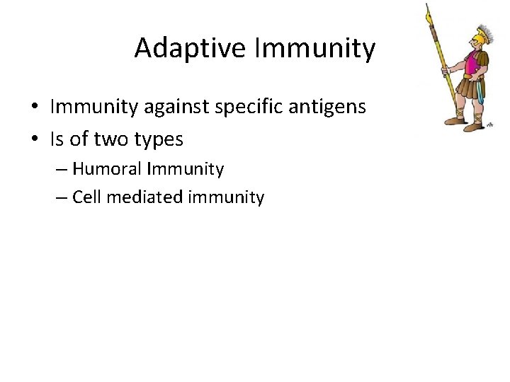 Adaptive Immunity • Immunity against specific antigens • Is of two types – Humoral
