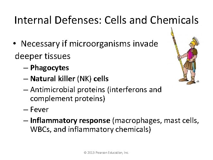 Internal Defenses: Cells and Chemicals • Necessary if microorganisms invade deeper tissues – Phagocytes