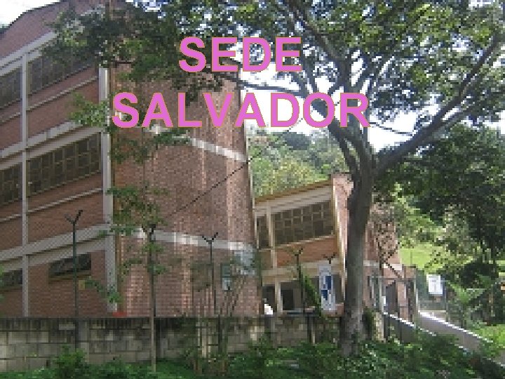 SEDE SALVADOR 