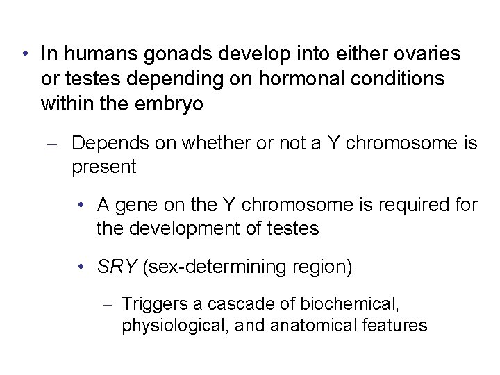 • In humans gonads develop into either ovaries or testes depending on hormonal