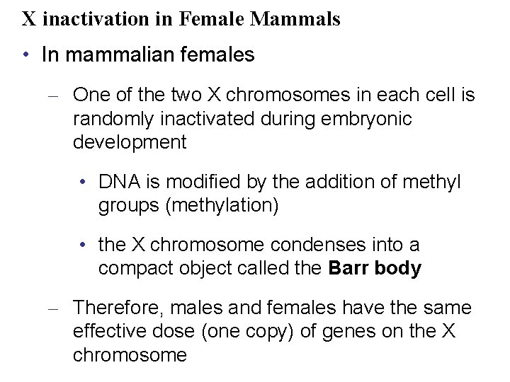 X inactivation in Female Mammals • In mammalian females – One of the two