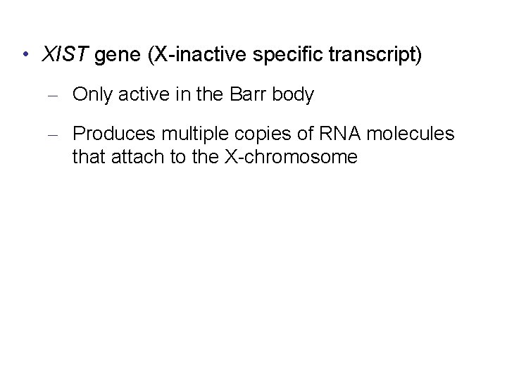  • XIST gene (X-inactive specific transcript) – Only active in the Barr body