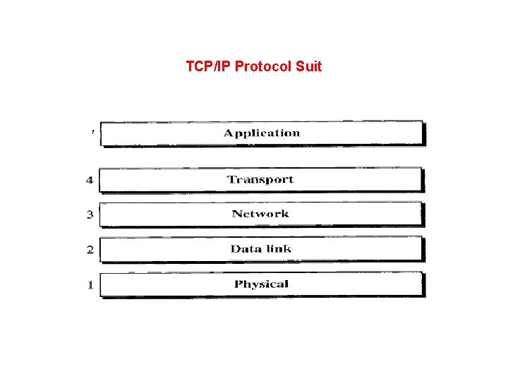 TCP/IP Protocol Suit 