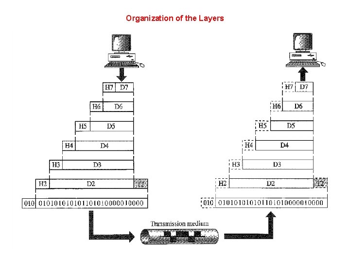 Organization of the Layers 