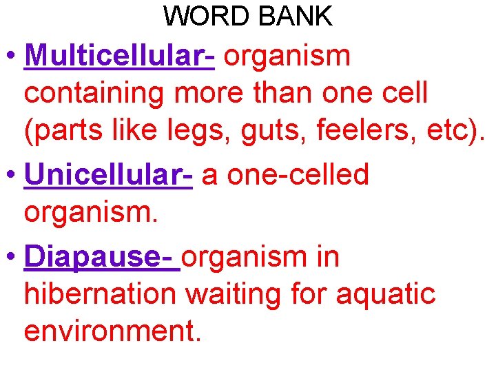 WORD BANK • Multicellular- organism containing more than one cell (parts like legs, guts,