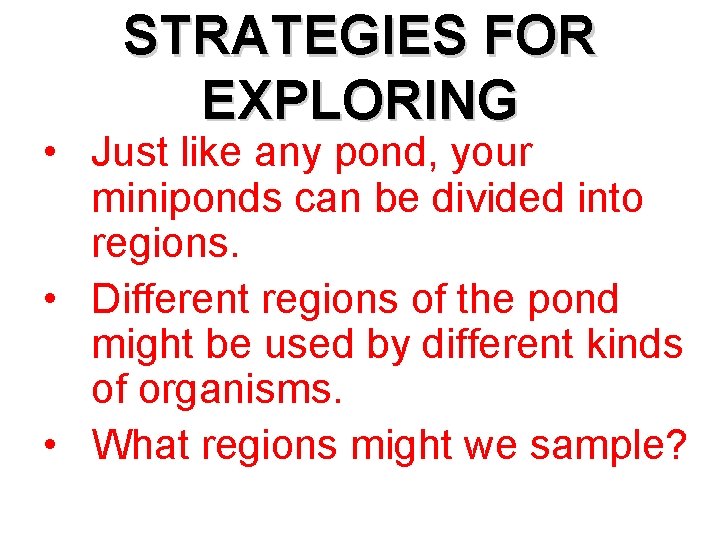 STRATEGIES FOR EXPLORING • Just like any pond, your miniponds can be divided into